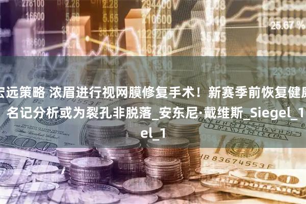 宏远策略 浓眉进行视网膜修复手术！新赛季前恢复健康 名记分析或为裂孔非脱落_安东尼·戴维斯_Siegel_1