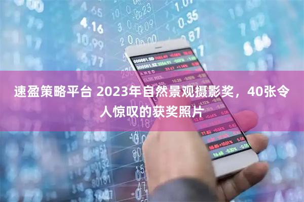 速盈策略平台 2023年自然景观摄影奖，40张令人惊叹的获奖照片